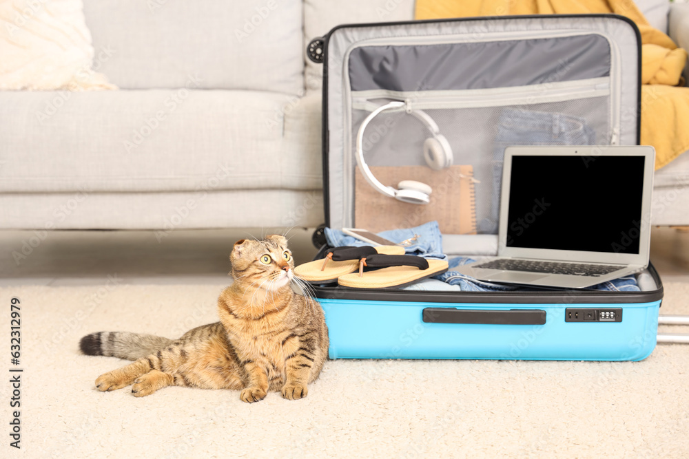 Scottish fold cat lying near suitcase at home