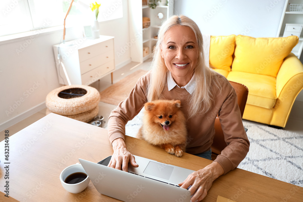 Mature woman with Pomeranian dog using laptop in office