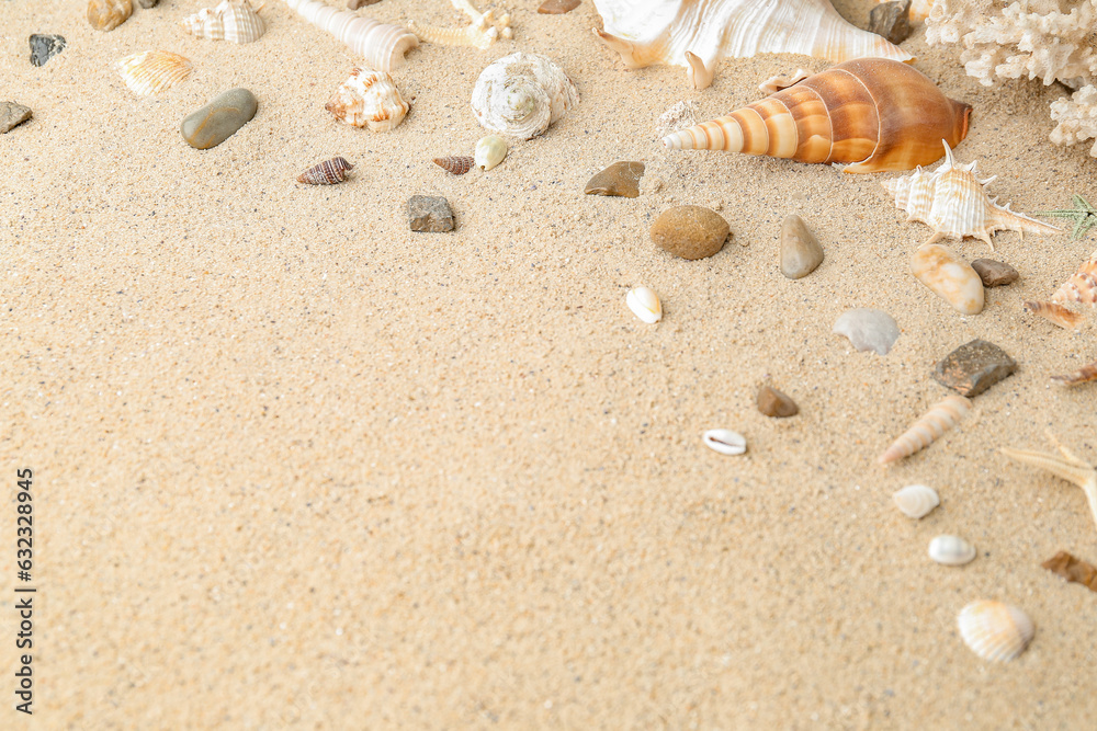 Different seashells on sandy beach