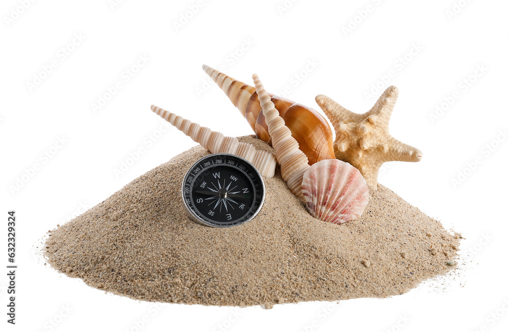 Beautiful seashells, starfish and sand on white background