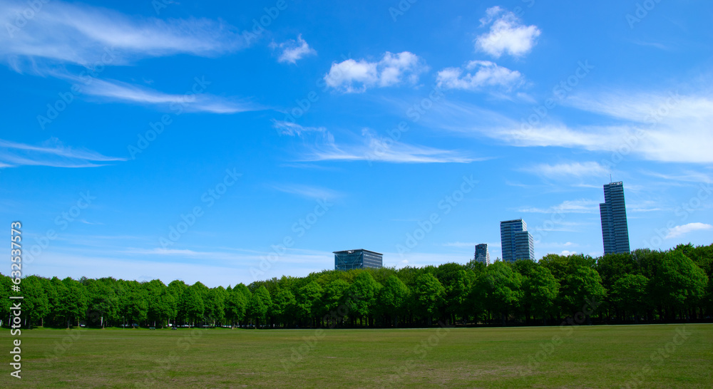 City park on blue sky background