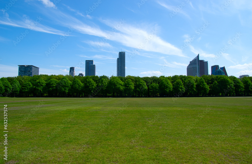 City park on blue sky background