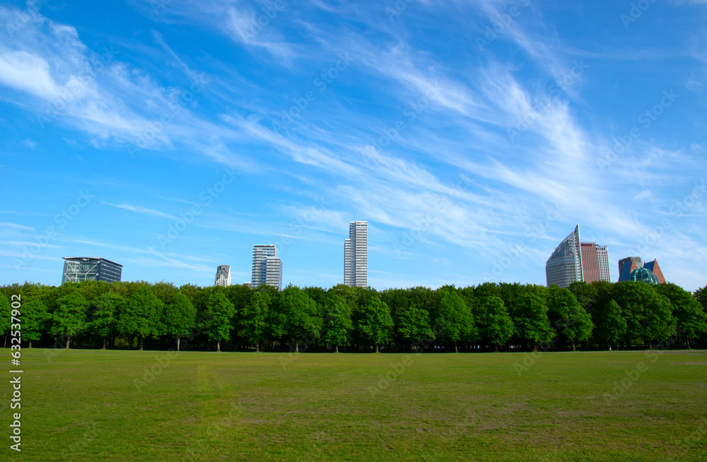 City park on blue sky background