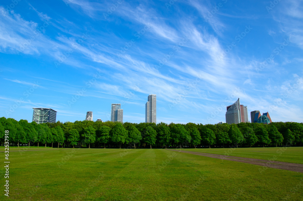 City park on blue sky background