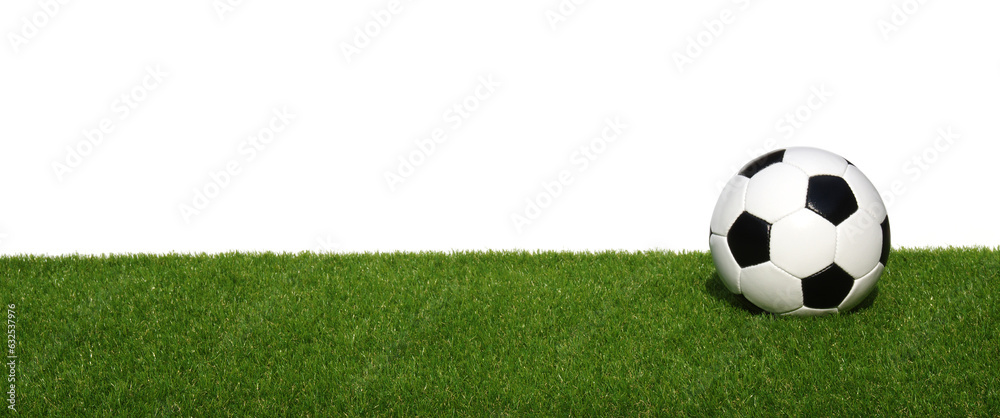 Soccer ball on green grass