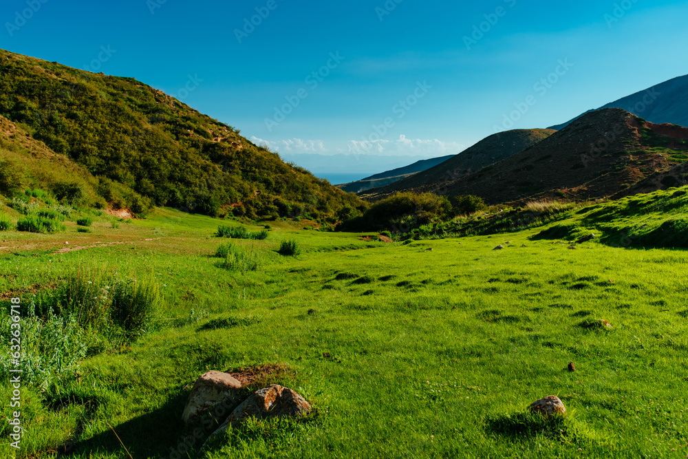 Picturesque mountain landscape with green meadow