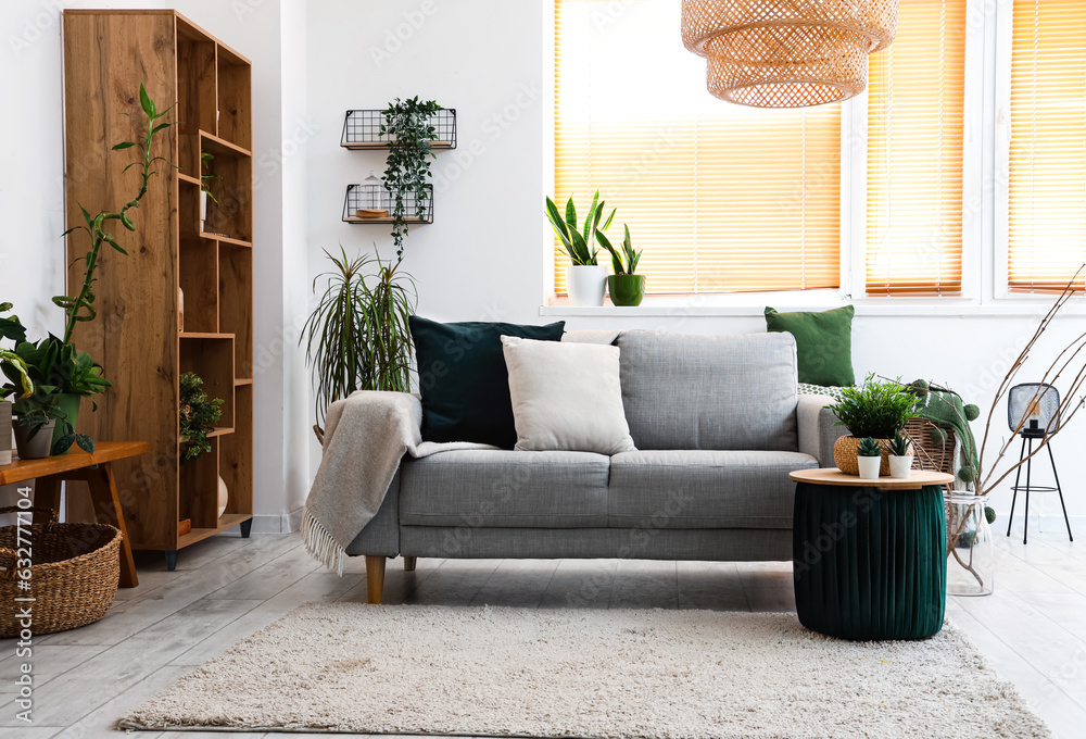 Interior of light living room with sofa and houseplants