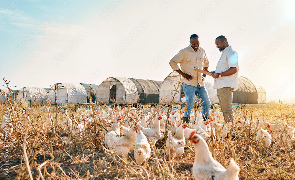 Black people, clipboard and farm with chicken in agriculture together, live stock and outdoor crops.