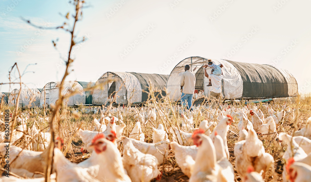 Health, relax and chicken with black family on farm for agriculture, environment and bonding. Food, 