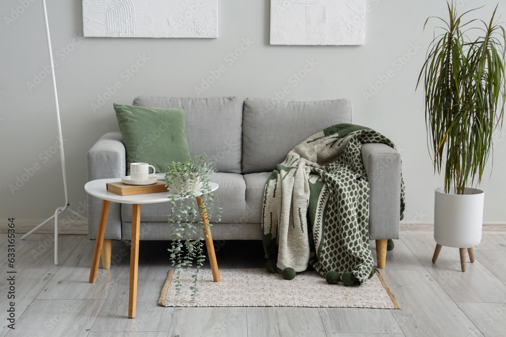 Interior of light living room with plaid on grey sofa