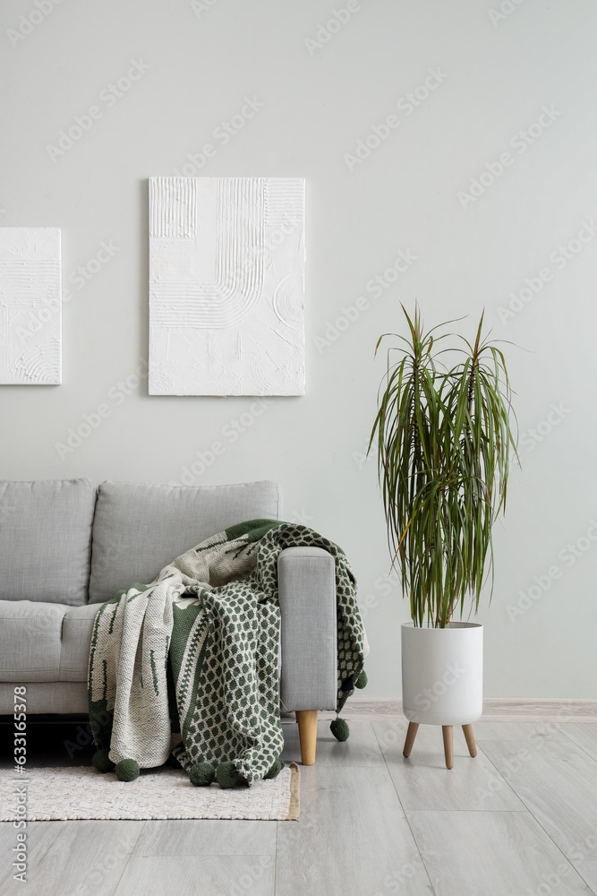 Interior of light living room with plaid on grey sofa