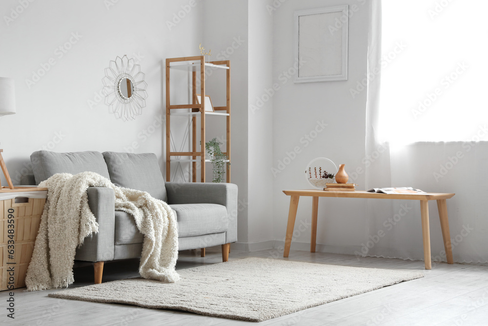 Cozy grey sofa with soft blanket in interior of light living room