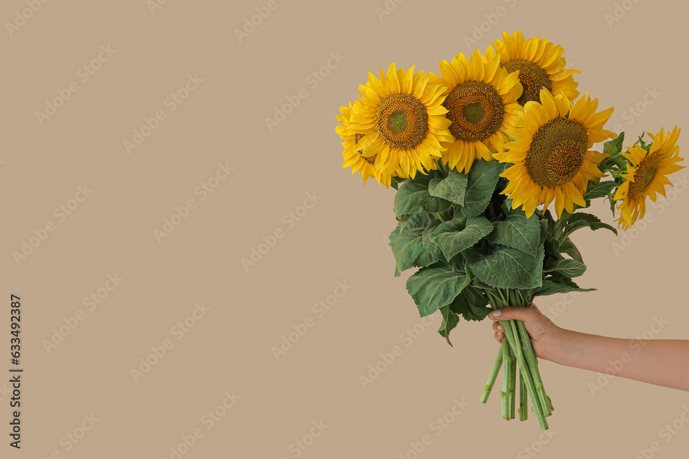 Female hand with beautiful sunflowers on beige background