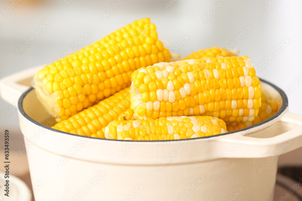 Cooking pot with boiled corn cobs on white background, closeup