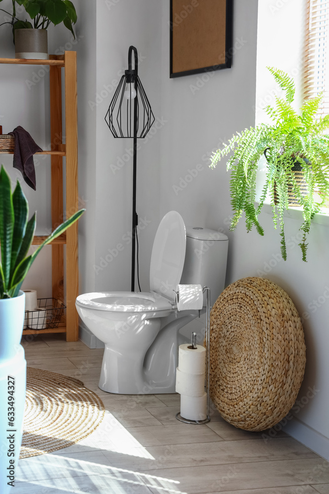 Interior of modern restroom with ceramic toilet bowl and houseplants