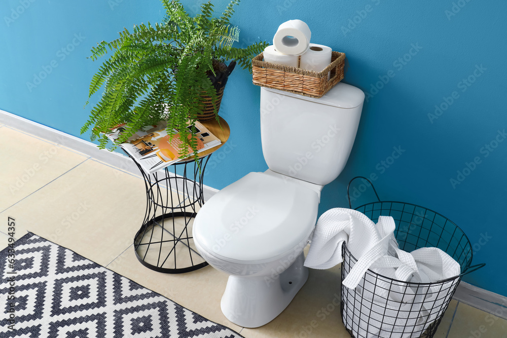 Interior of modern restroom with ceramic toilet bowl and houseplant near blue wall