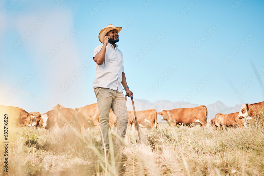 Cows, happy or farmer on a phone call talking or speaking of dairy livestock, agriculture or cattle 