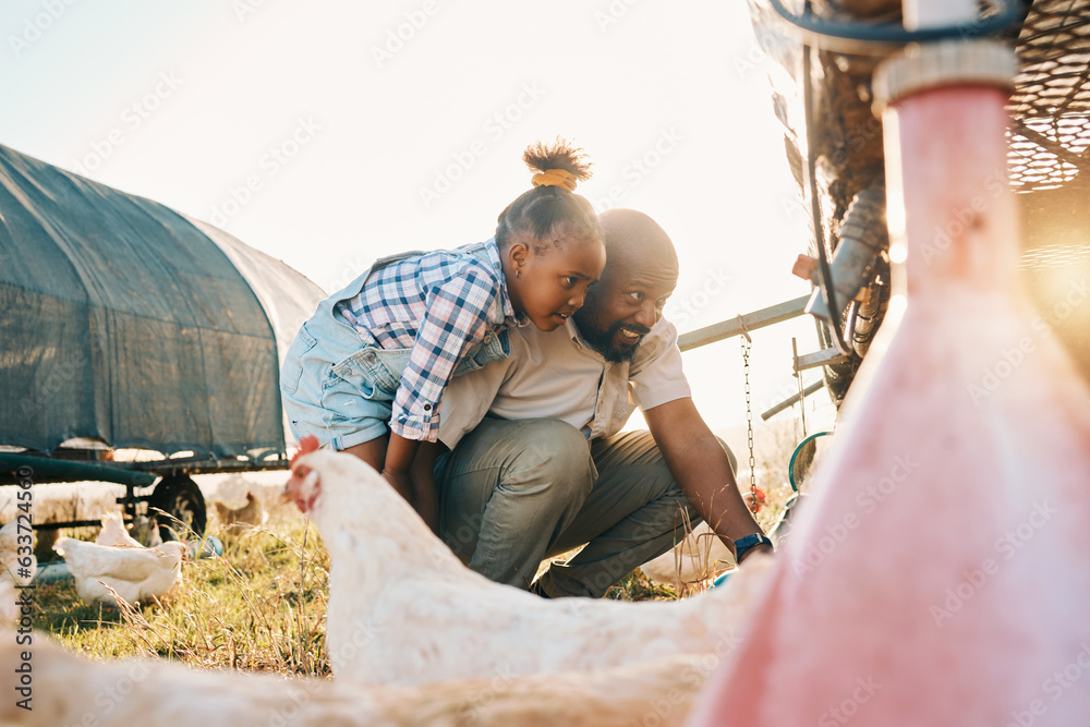 Chicken, farming and family with birds check outdoor for sustainability and agriculture. Dad, child 