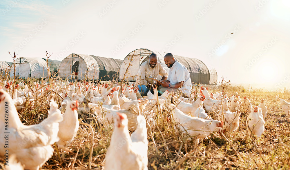 Men, agriculture checklist and chicken in sustainability farming, eco friendly or free range, indust