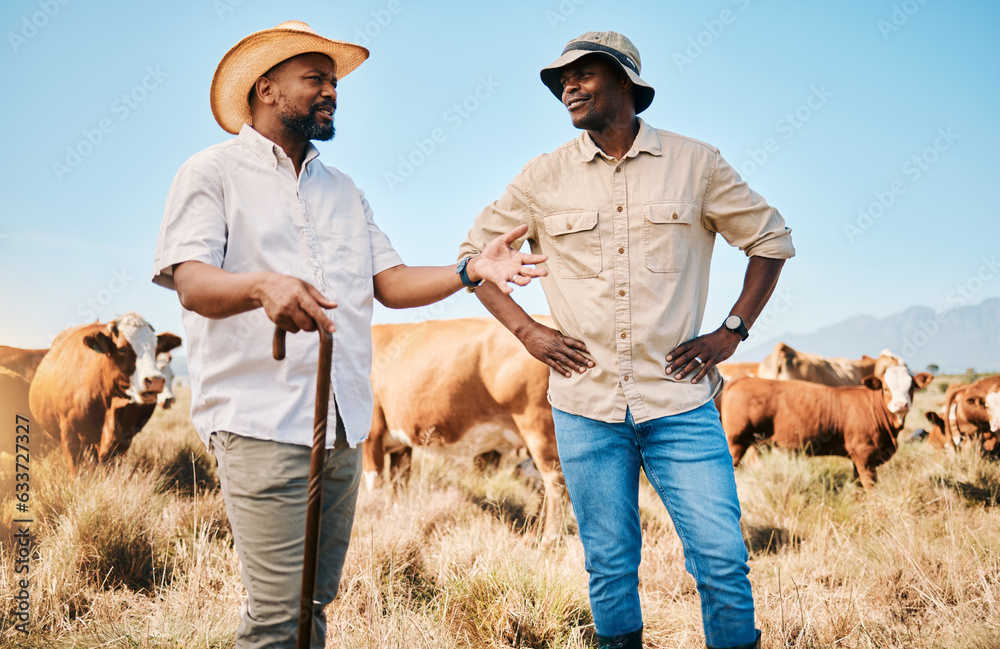 Cows, teamwork or black people on farm talking by agriculture for livestock, sustainability or agro 