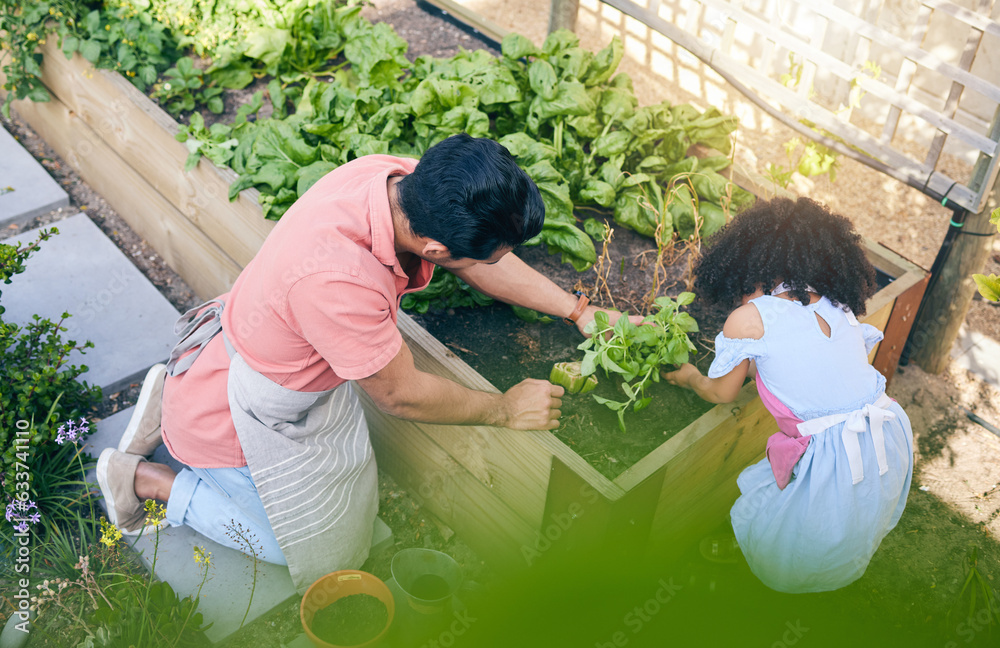 Gardening, sustainability and dad with child from above with plants, teaching and learning with grow