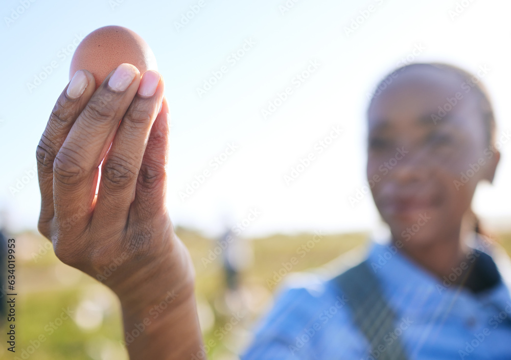 Hand, black woman and egg at farm for inspection, supply chain or quality control in countryside. Po