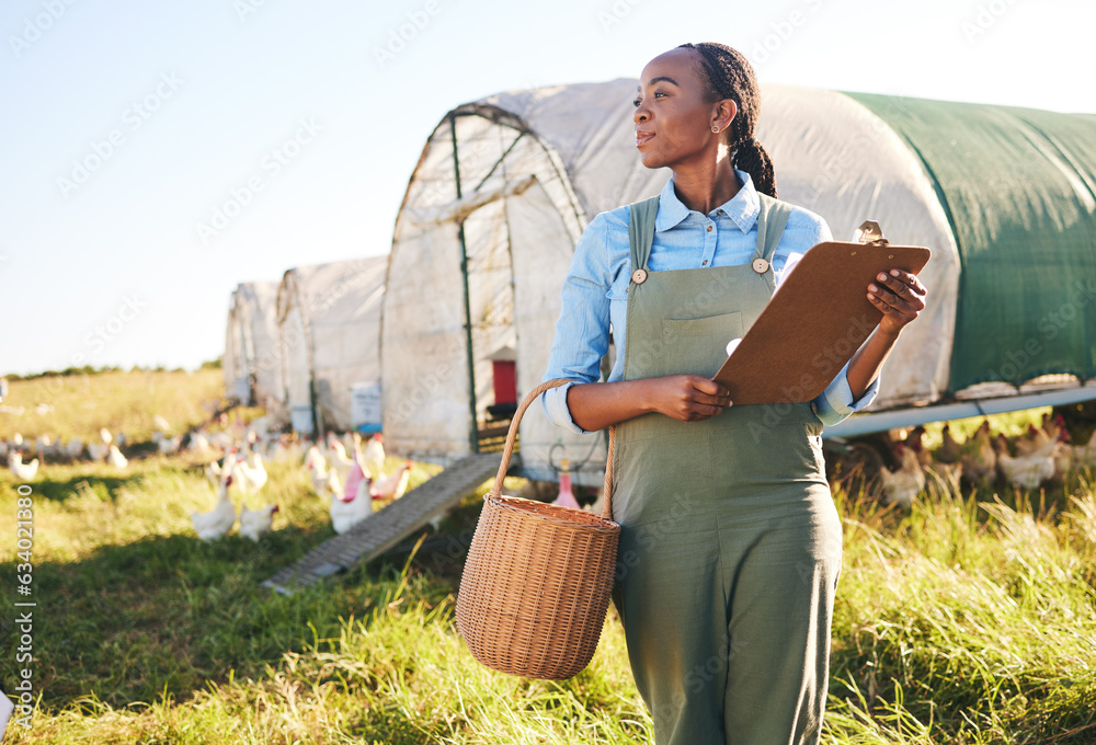 Agriculture, clipboard and black woman at a chicken farm for sustainability management in the countr