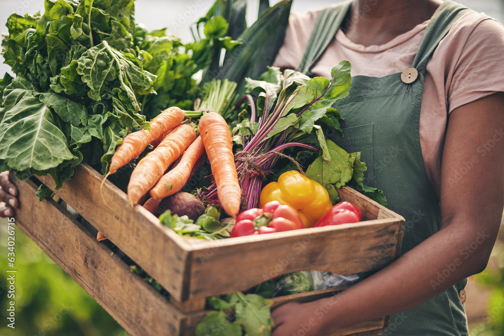 Person, vegetables box and agriculture, sustainability or farming for supply chain or agro business.