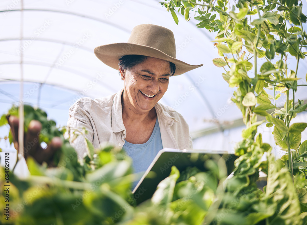 Farmer, woman and tablet in greenhouse for agriculture, farming and sustainability with or e commerc