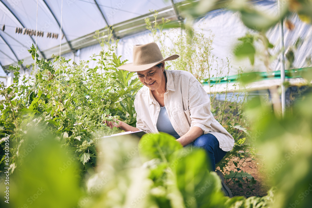 Senior woman, agriculture and greenhouse with plants, tablet for inspection, harvest and vegetable f