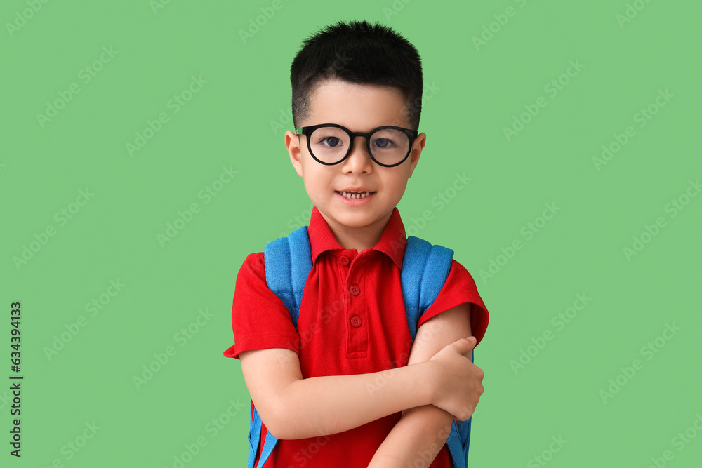 Cute little schoolboy on green background