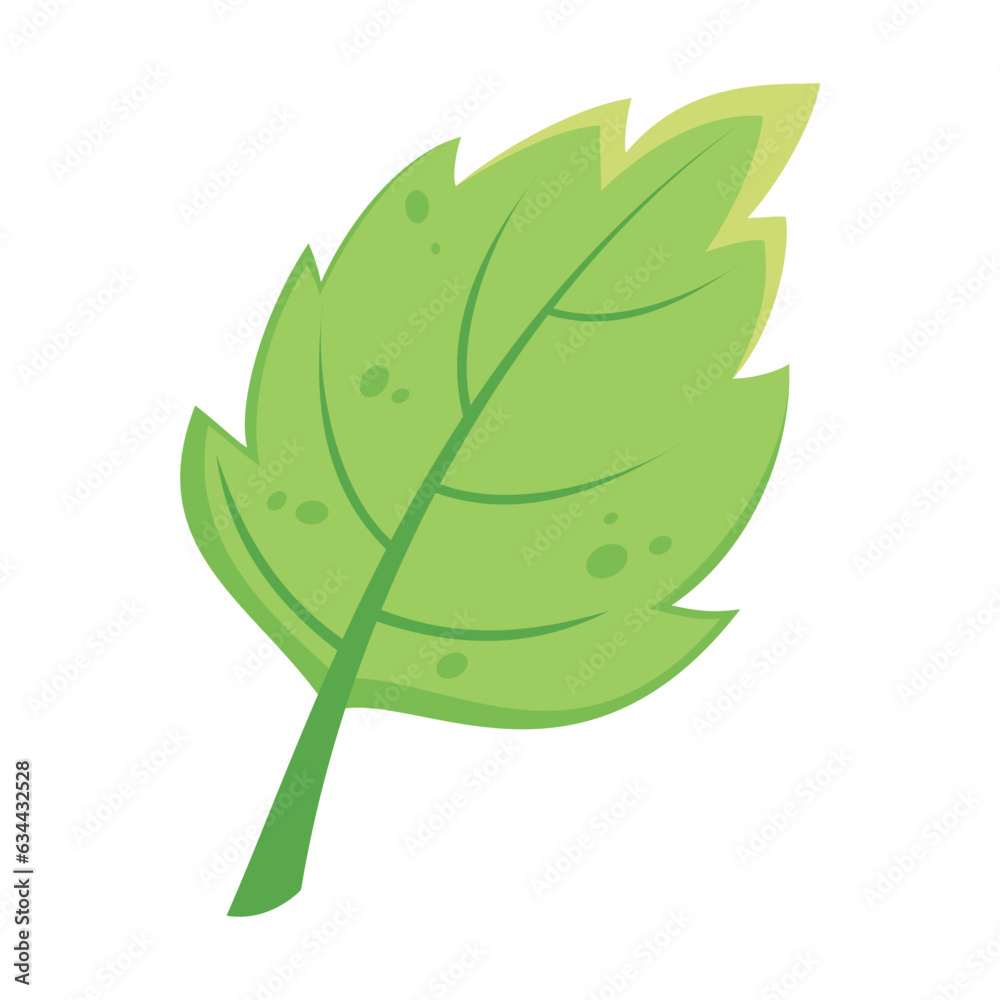 Autumn green leaf vector. Cartoon drawing of floral autumnal element, green leaf. Autumn decoration,