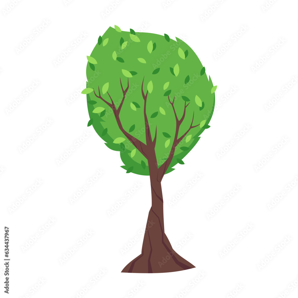 Autumn forest or park tree with green leaves. Cartoon drawing of autumn tree, leaves on white backgr