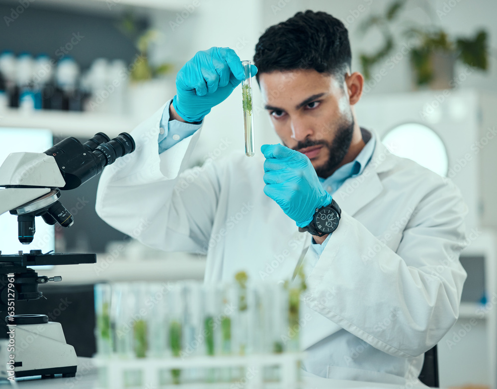 Science, plants and man with test tube in laboratory, research and nature engineering at microscope.