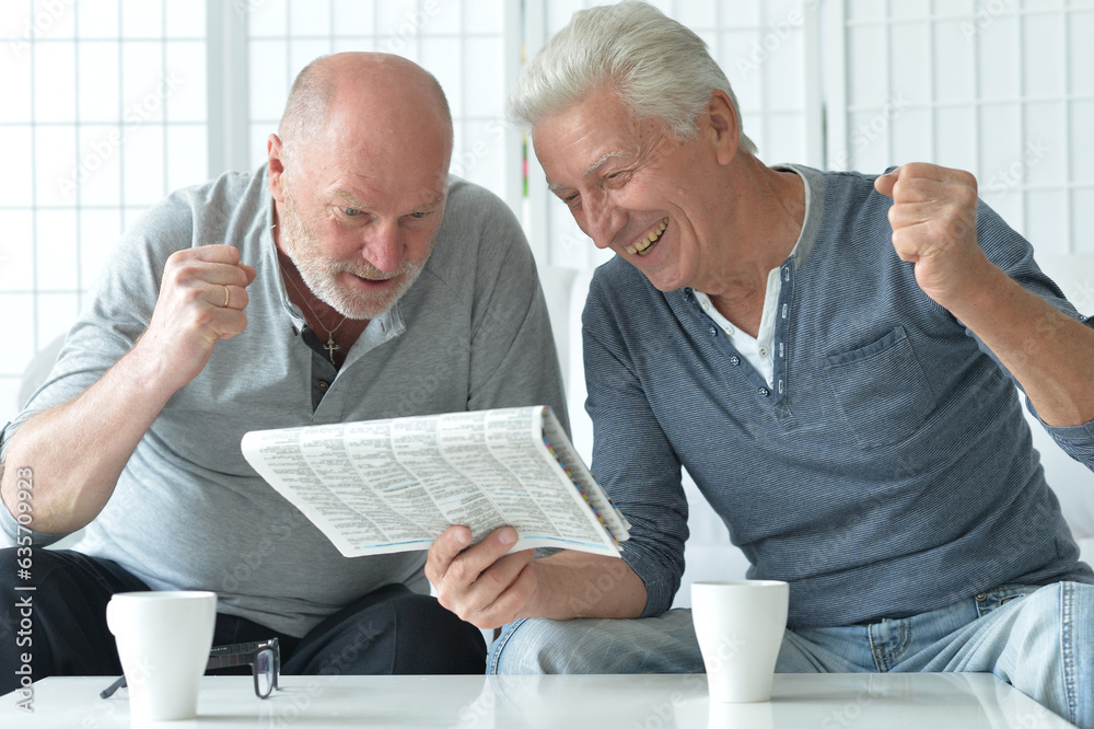 Two old men sitting at table and discussing news