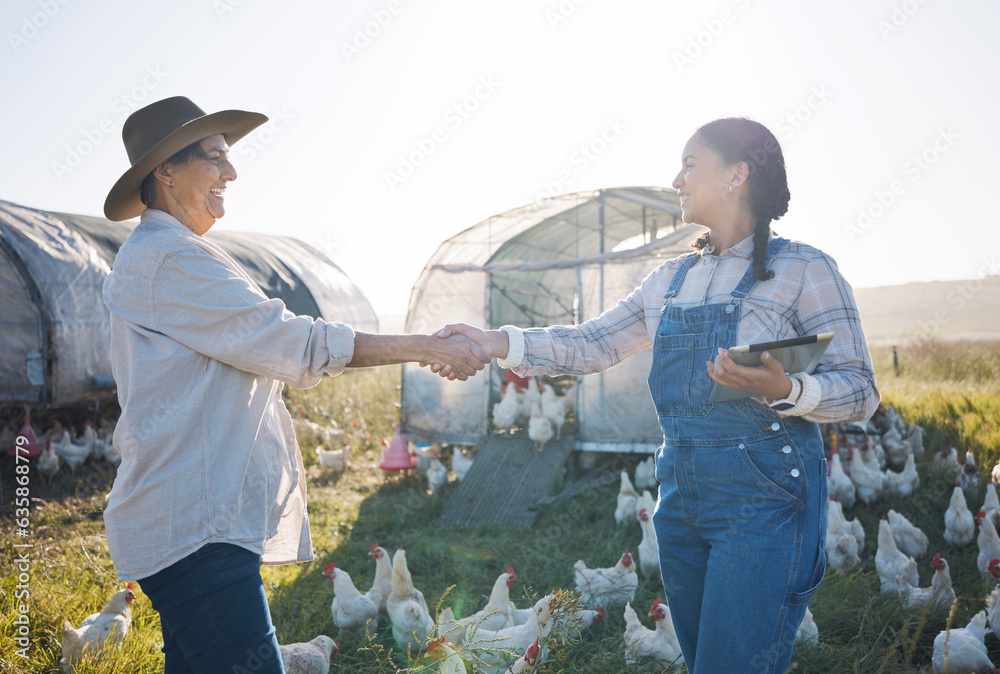 Chickens, farm and women with handshake, sustainability and agreement with partnership, agriculture 