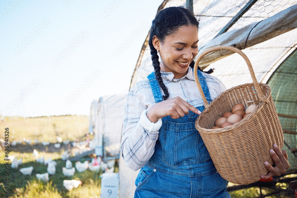 Woman counting eggs on farm with chicken, grass and sunshine in countryside field for sustainable bu