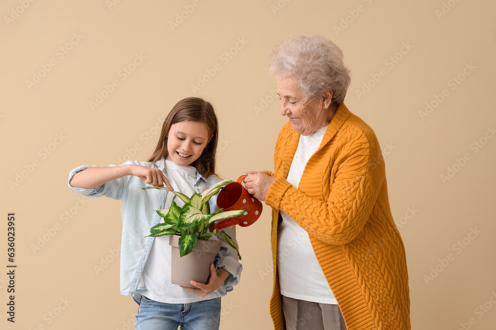 Little girl with her grandmother watering houseplant on beige background