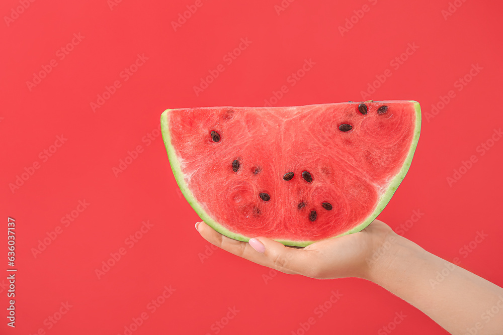 Female hand with piece of ripe watermelon on red background, closeup