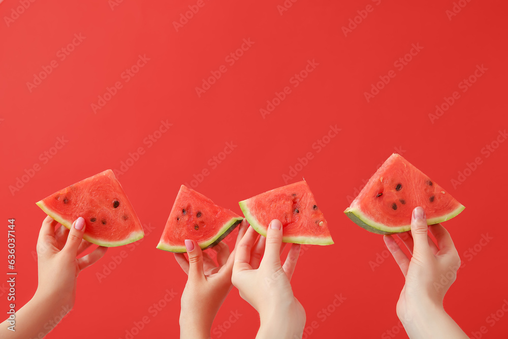 Female hands with pieces of ripe watermelon on red background