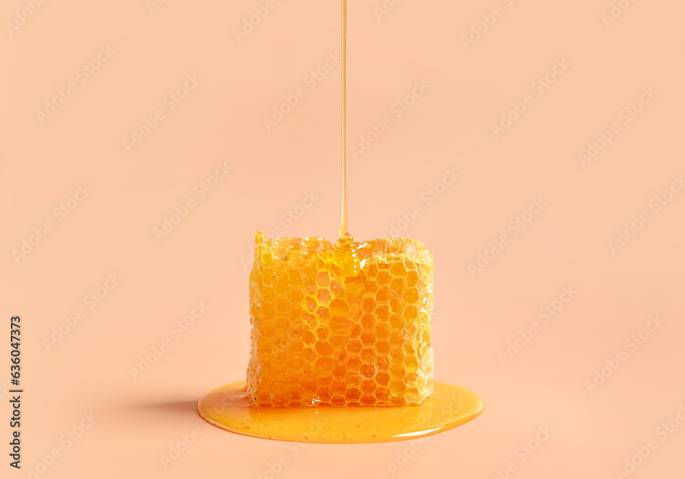 Sweet honeycomb on pink background