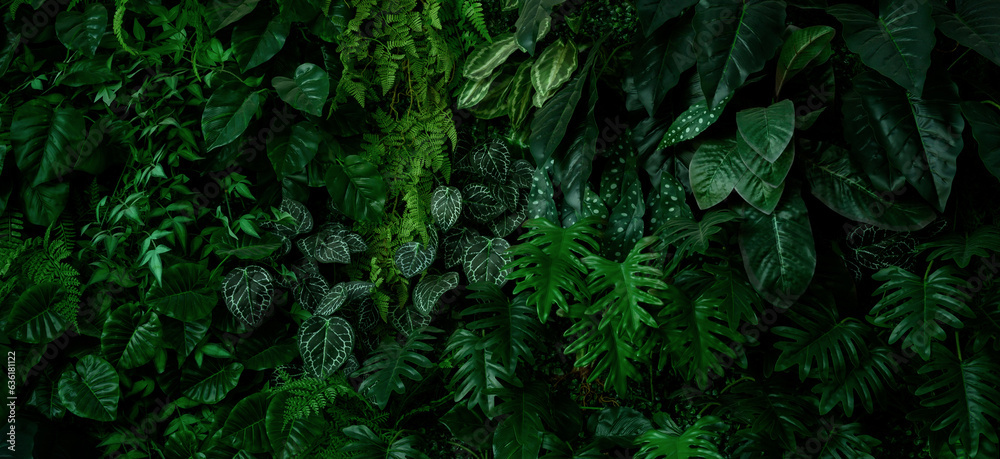 abstract green leaf texture, tropical leaf foliage nature dark green background	