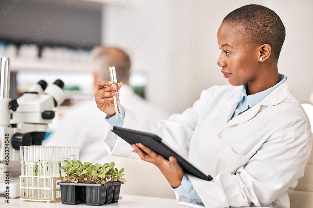 Scientist, test tube and plants on tablet for laboratory research, agriculture and sustainability an