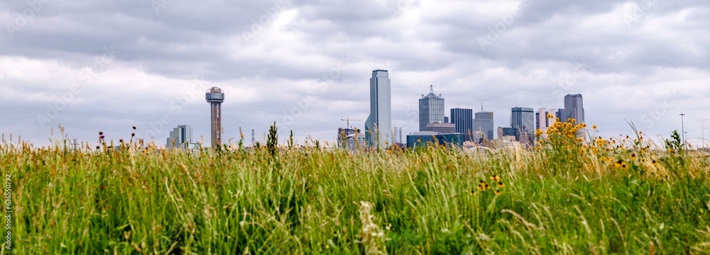 Springtime Serenity: 4K Image of Dallas, Texas, Viewed from the Tranquil Trinity River