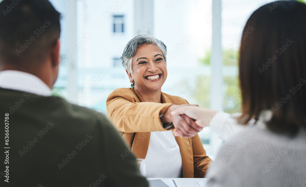 Handshake, job interview or business people with a happy mature woman for partnership in office. We 