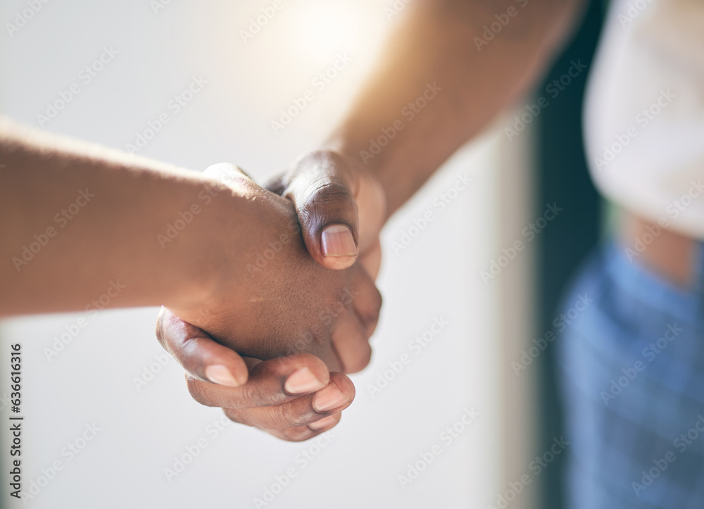 Handshake, agreement and hands of people meeting introduction for partnership together as a team wit