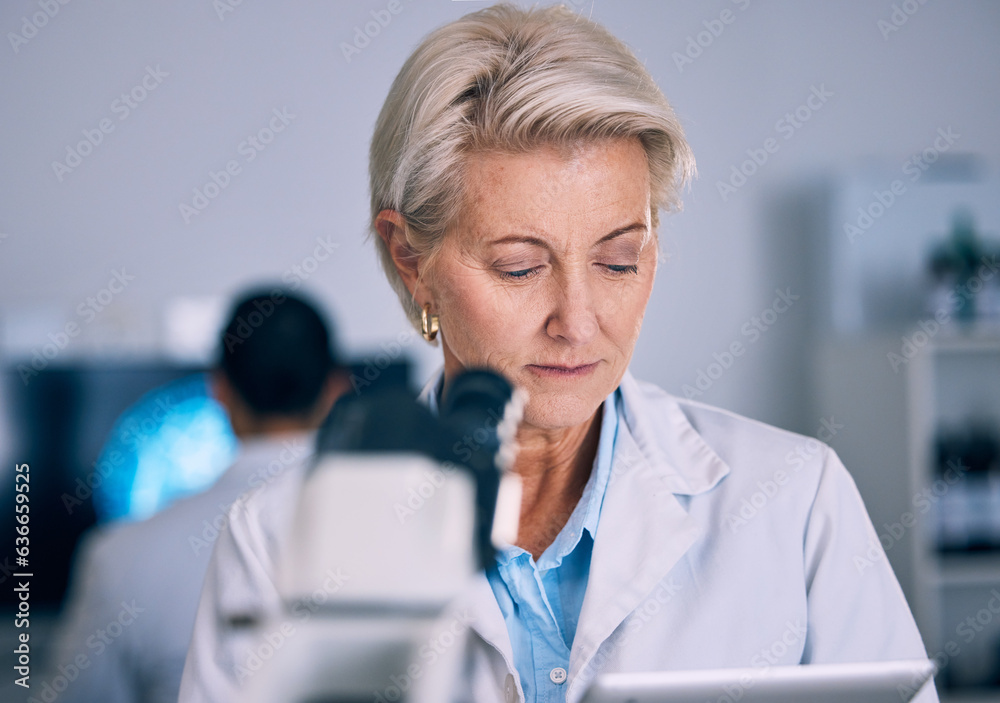 Science, tablet and medical with woman in laboratory for planning, research and pharmacy. Medicine, 