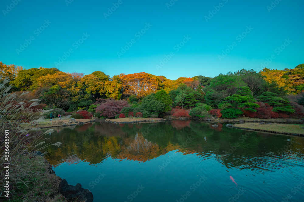 日本庭園の紅葉