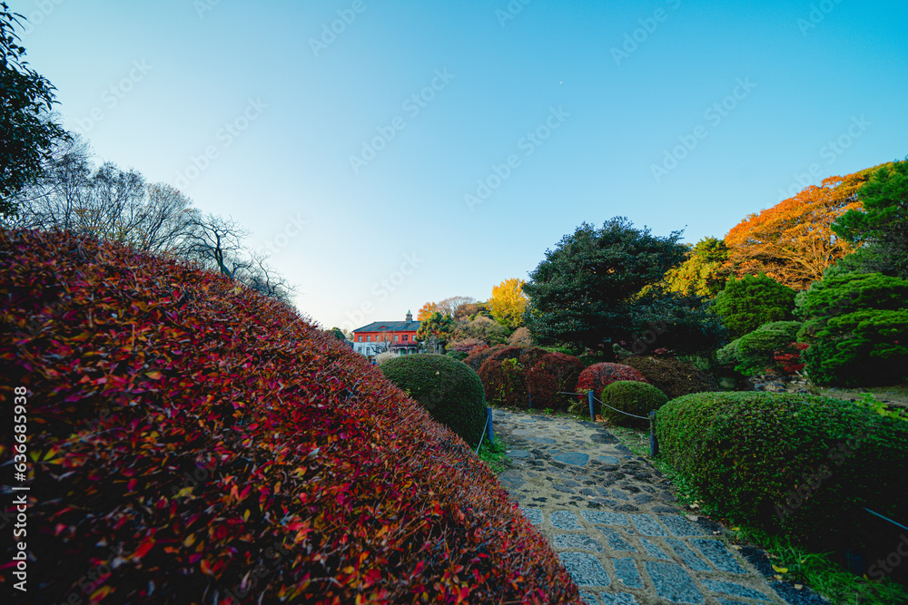 日本庭園の紅葉