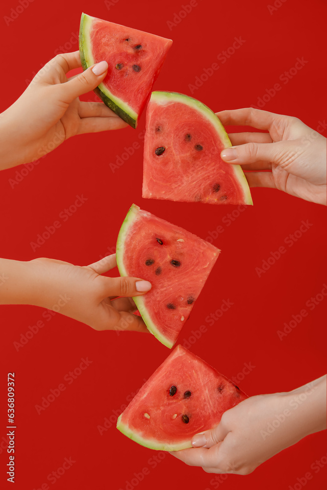 Female hands with pieces of ripe watermelon on red background